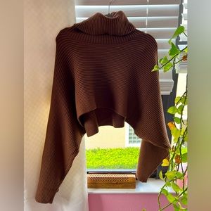Brown Cropped Turtleneck Sweater